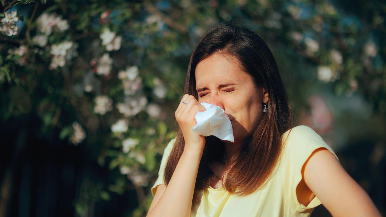 Alerjik Rinit (Saman Nezlesi) Nedir? Belirtileri ve Tedavisi